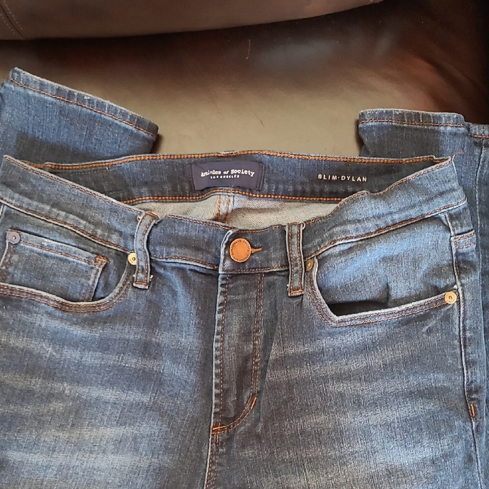 Articles Of Society Women's Blue Skinny Jeans
